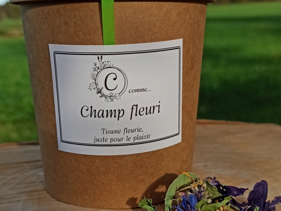 Champ fleuri