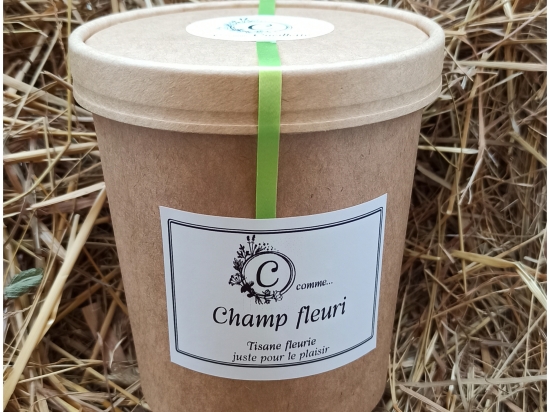 Champ fleuri