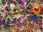Champ fleuri