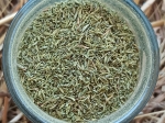 Cuisine du Sud