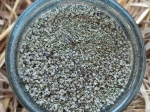 Sel basilic, origan