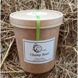 Champ fleuri