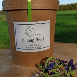 Champ fleuri