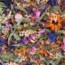 Tisane — Champ Fleuri